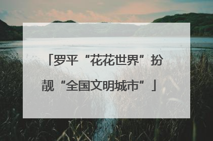 罗平“花花世界”扮靓“全国文明城市”